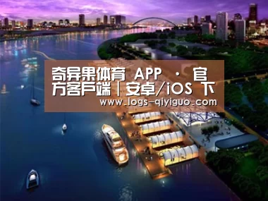 案例展示八